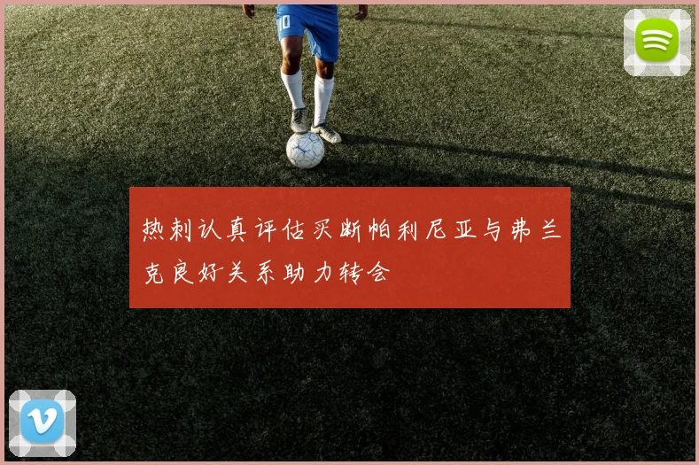 热刺认真评估买断帕利尼亚与弗兰克良好关系助力转会