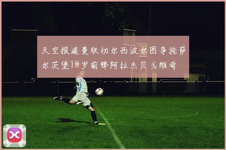 天空报道曼联切尔西波尔图争抢萨尔茨堡18岁前锋阿拉杰贝戈维奇