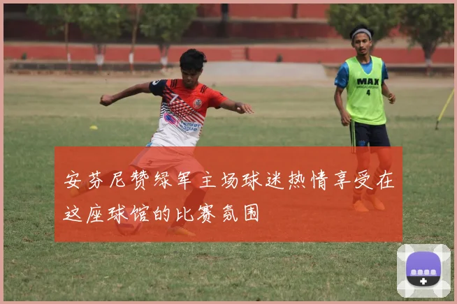 安芬尼赞绿军主场球迷热情享受在这座球馆的比赛氛围