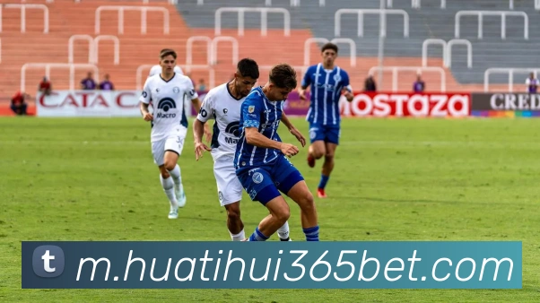 华体会体育APP 封面图